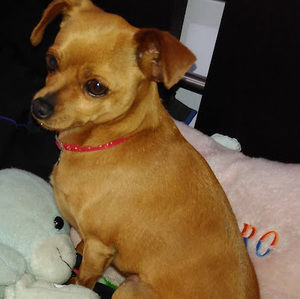 Meet your Posher, Lorena